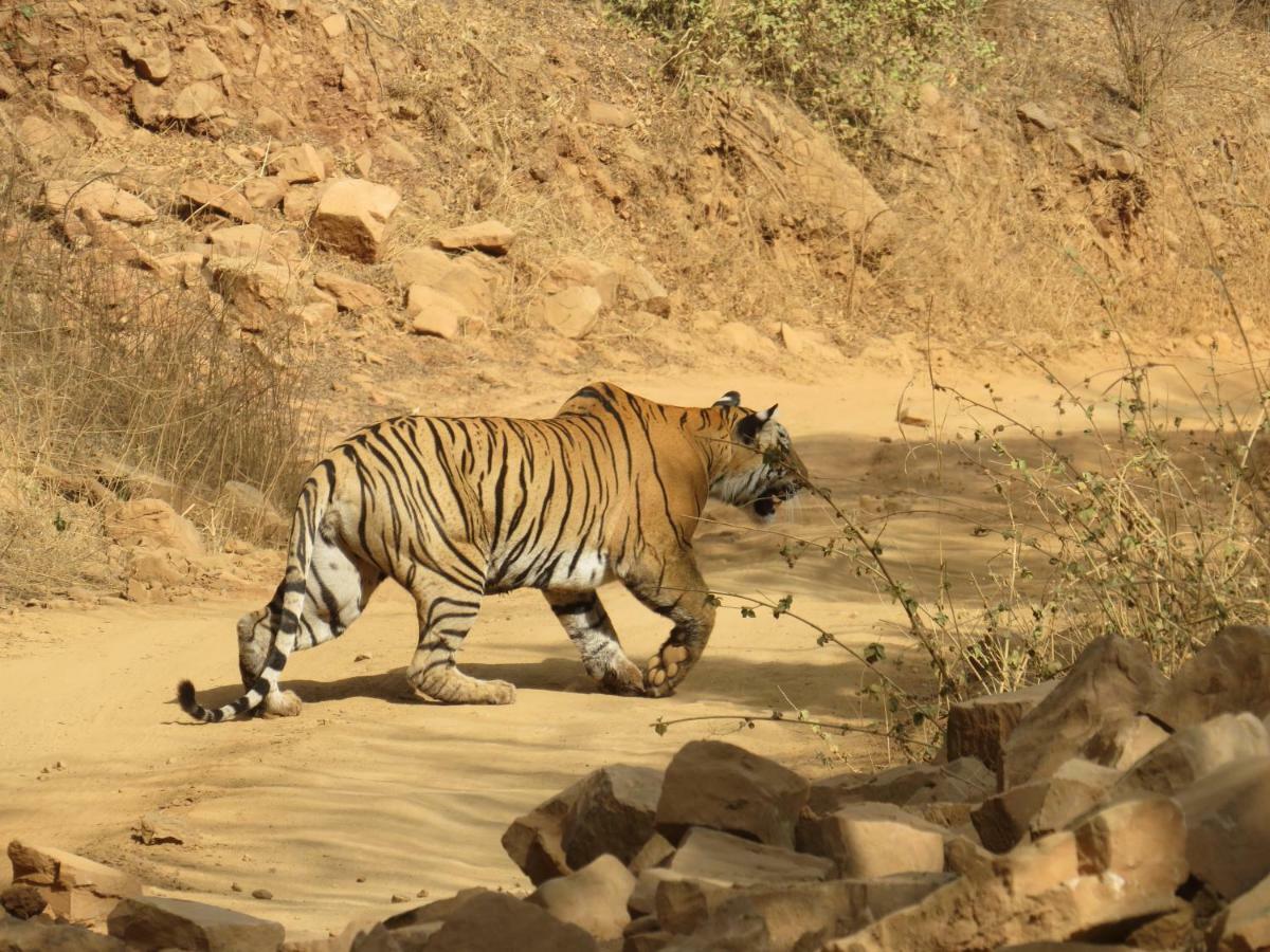 Rajputana Heritage Sawai Madhopur Exteriér fotografie
